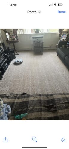 Shark AI Ultra Robot Vacuum – Self-Emptying, Smart Mapping, Matrix Clean, 60-Day XL Base, Pet Hair Pickup, Voice/App Control, LiDAR Navigation for Carpet & Hard Floors photo review