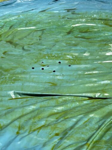 Intex 28167EH Easy Set Inflatable Pool Set – 15ft (4.57m) x 48in (122cm) Round Above Ground Pool with 1,000 GPH Pump, Ladder, Cover & Ground Cloth – 3,736 Gallon (14,141L) Capacity – 3-Ply PVC photo review