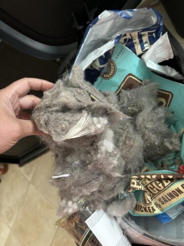 Shark AV2501AE AI Ultra Robot Vacuum with XL HEPA Self-Empty Base – 60-Day Capacity, Smart Mapping, LIDAR Navigation, Alexa Control, Perfect for Pet Hair, Carpet & Hard Floor, Bagless, Black photo review