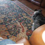 Roborock S8+ Robot Vacuum and Mop Combo, 6000Pa Suction, Sonic Mopping, Auto Mop Lift, Self-Empty Dock, 3D Obstacle Avoidance, Smart App Control, 60-Day Dust Bin, White photo review