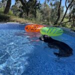 Bestway Steel Pro MAX 12ft (3.66m) x 30in (76cm) Round Above Ground Swimming Pool Set with Filter Pump – 6,473L Capacity – Durable Metal Frame Family Outdoor Pool – Gray photo review