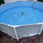 Intex 26701EH Prism Frame 10ft (3.05m) x 30in (76cm) Above Ground Pool Set – 1,185 Gallon (4,486L) Capacity with Filter Pump – Rust & Puncture Resistant, Quick Setup photo review
