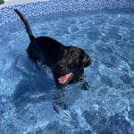 Bestway Steel Pro MAX 12ft (3.66m) x 30in (76cm) Round Above Ground Swimming Pool Set with Filter Pump – 6,473L Capacity – Durable Metal Frame Family Outdoor Pool – Gray photo review