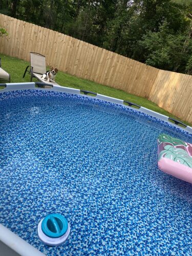 Bestway Steel Pro MAX 12ft (3.66m) x 30in (76cm) Round Above Ground Swimming Pool Set with Filter Pump – 6,473L Capacity – Durable Metal Frame Family Outdoor Pool – Gray photo review